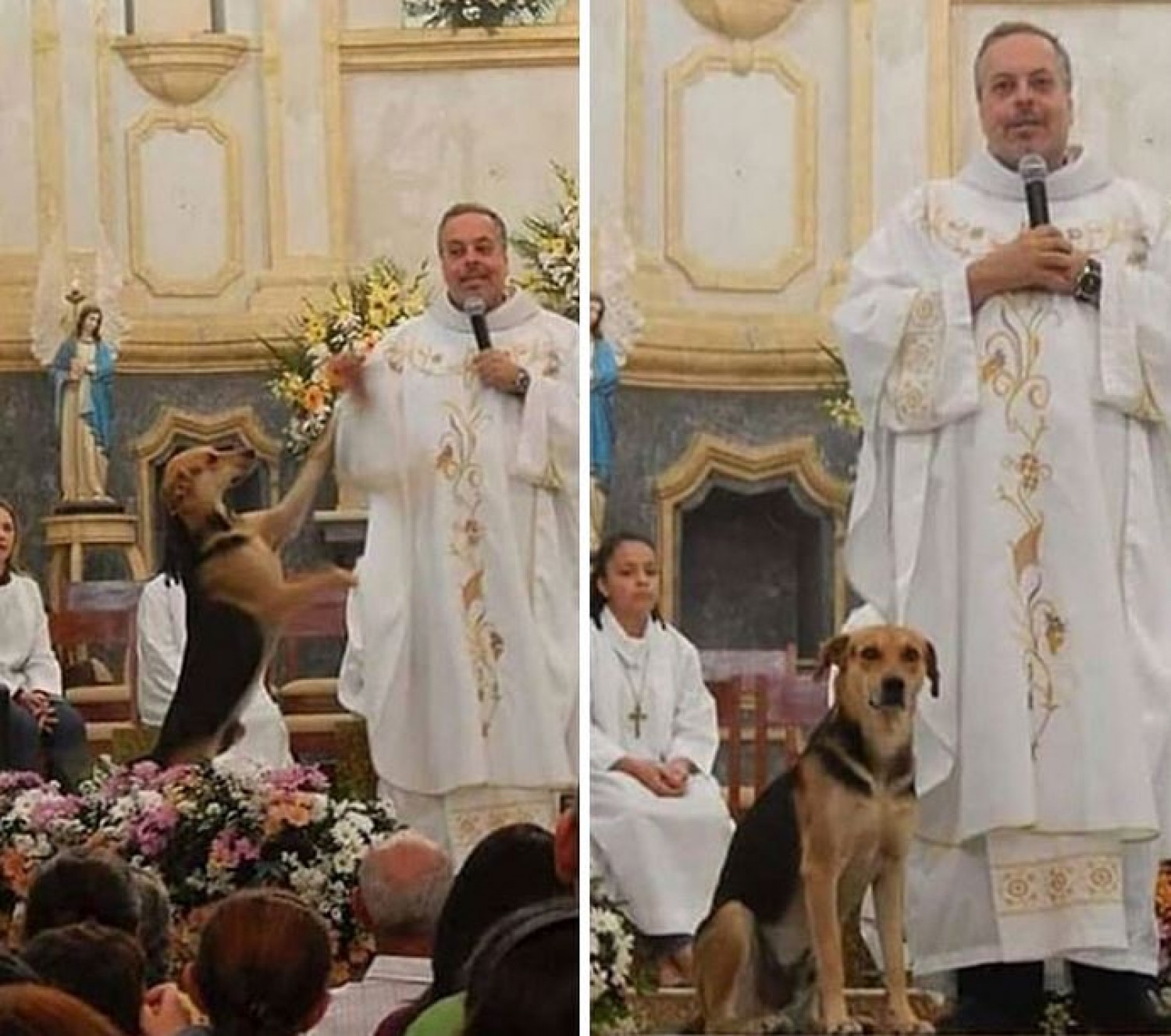 Ezért visz kutyát a misére a pap