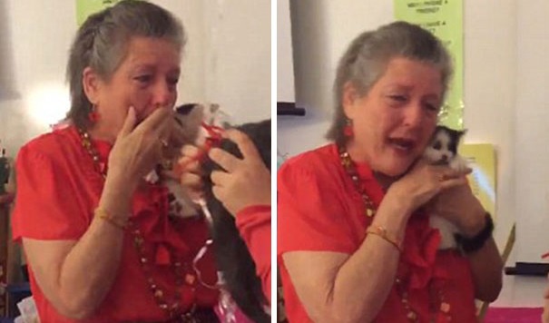 A tanárnő elvesztette szeretett cicáját. A diákjai meg akarták lepni, de nem is akárhogy!