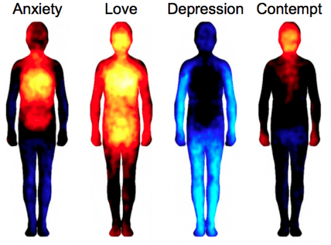 Az emberi test hőtérképe: minden érzelem megjelenik benne!