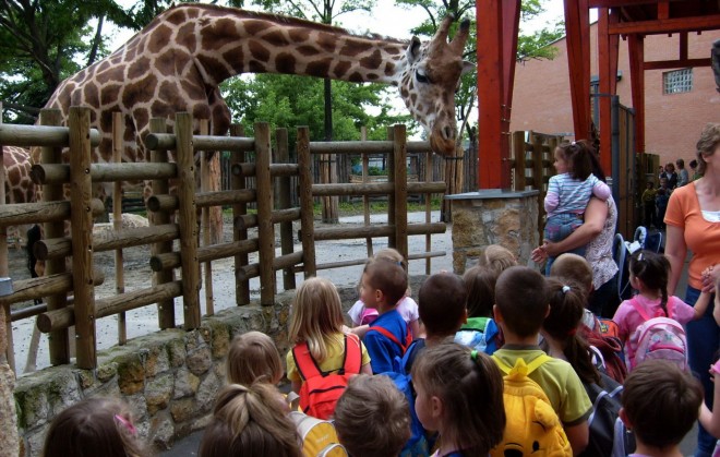 Ingyenes egy hétig a fővárosi állatkert a gyereknek!