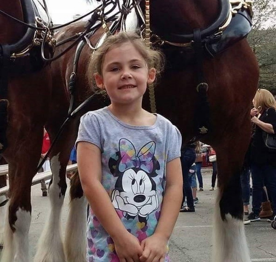 Az apa lefényképezi kislányát a ló előtt, csak később vették észre, hogy nem csak a kislány pózol a képen