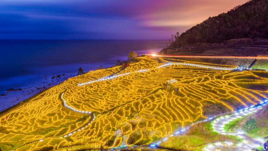 Elképesztő képek készültek! 21 ezer lámpával világították meg egy rizsföldet Japánban
